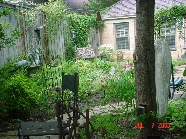 exterior-backyard